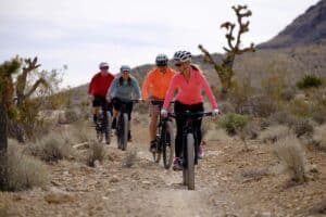 Red Rock Canyon mountain bike tours